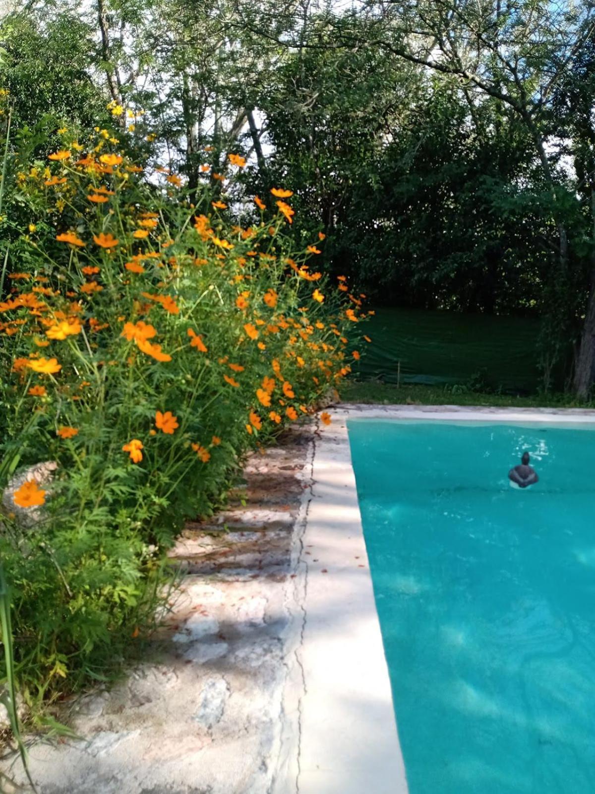 Villa La Isolina Villa Giardino Exteriér fotografie